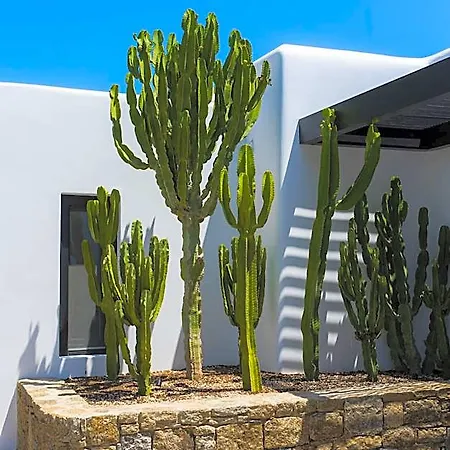 Noima Boutique Mykonos 5* Mykonos Town